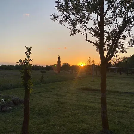 Les Verdisses * Agde